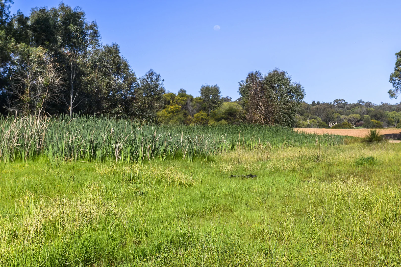 Additional image 13 of Guernsey Rise, Lower Chittering WA 6084