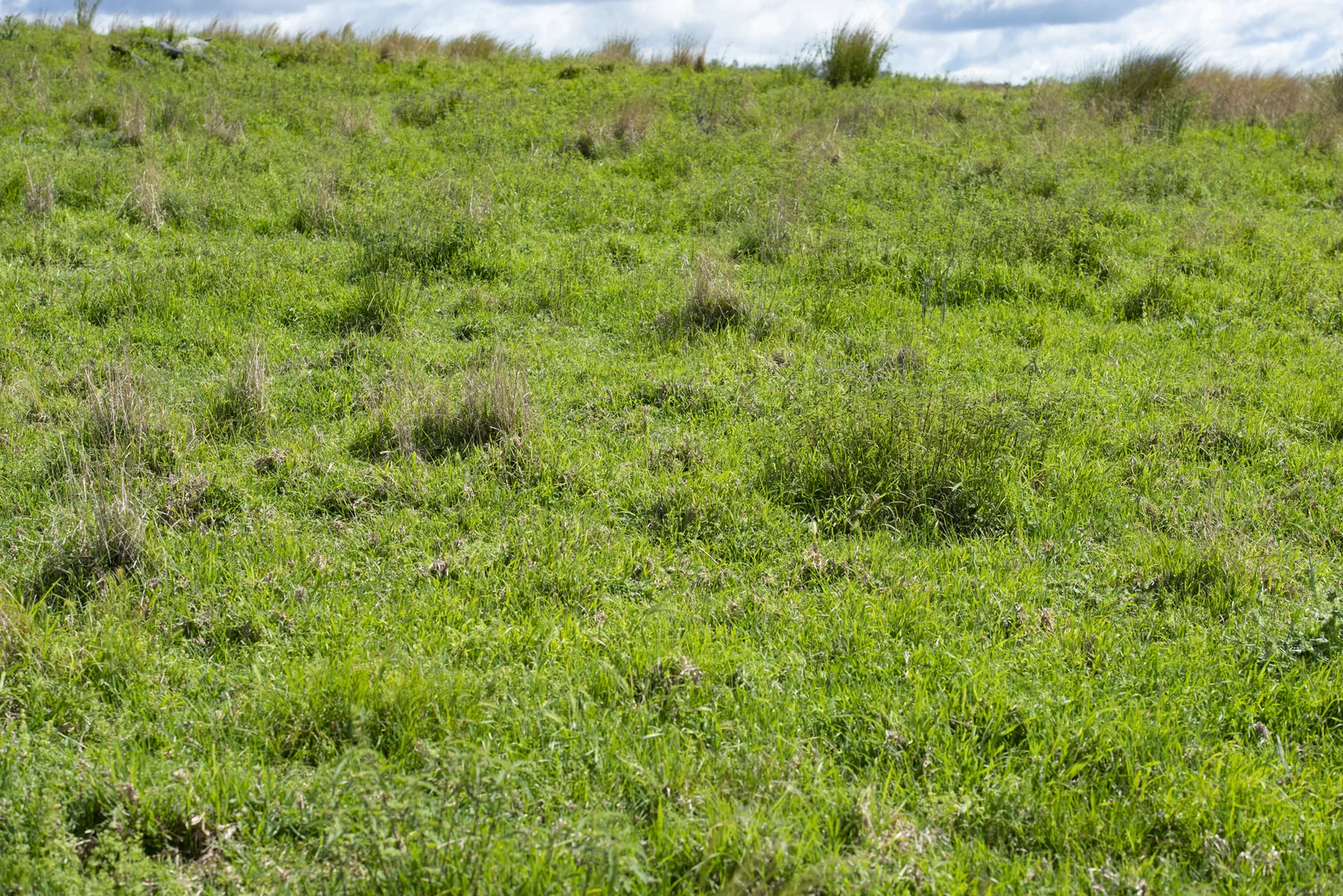 Additional image 31 of 1124 WARKTON ROAD, Coonabarabran NSW 2357