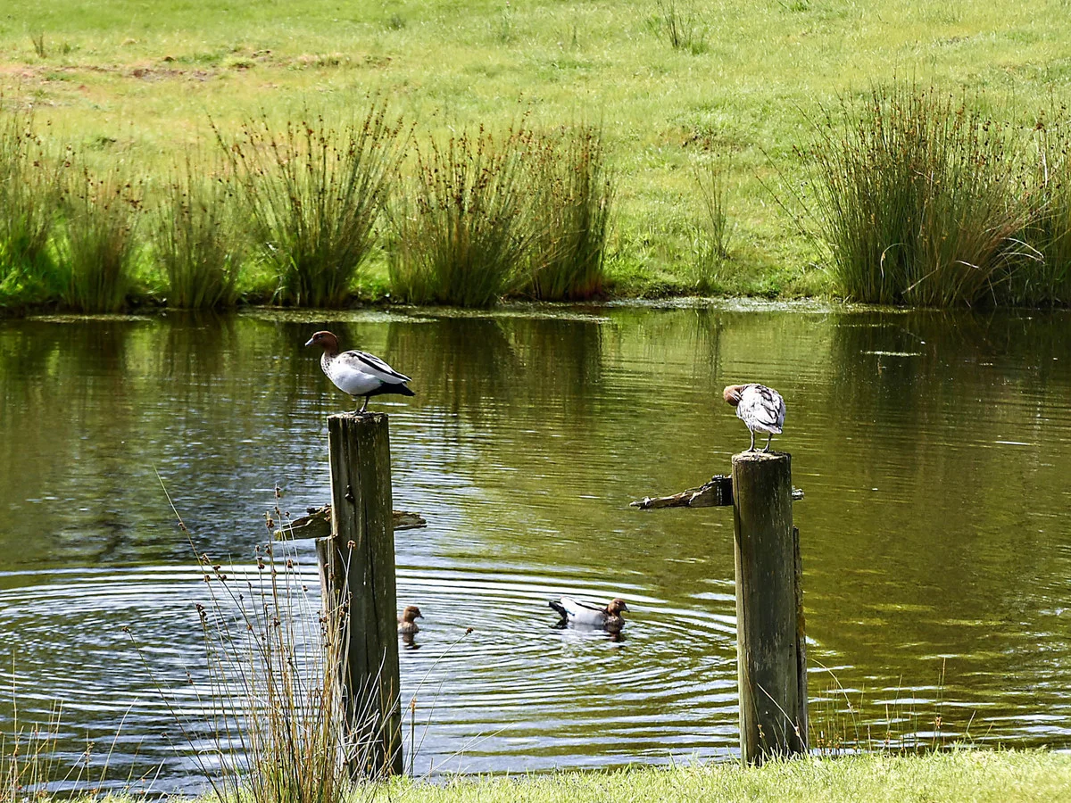 Additional image 14 of 15 Hudson Street, Sidmouth TAS 7270