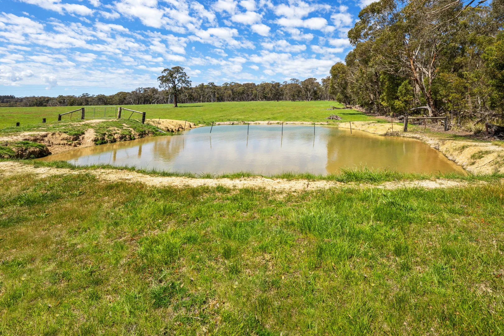 Additional image 7 of Napoleons VIC 3352