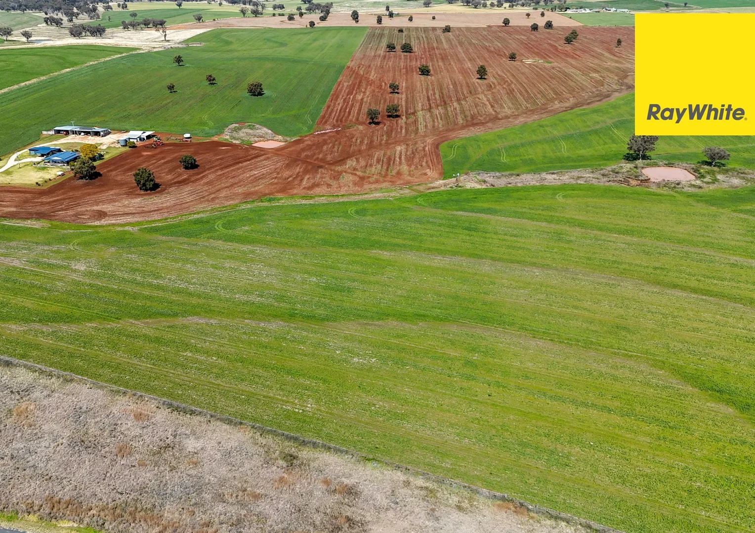 Additional image 2 of 'Colorado' Delungra Bypass Road, Delungra NSW 2403