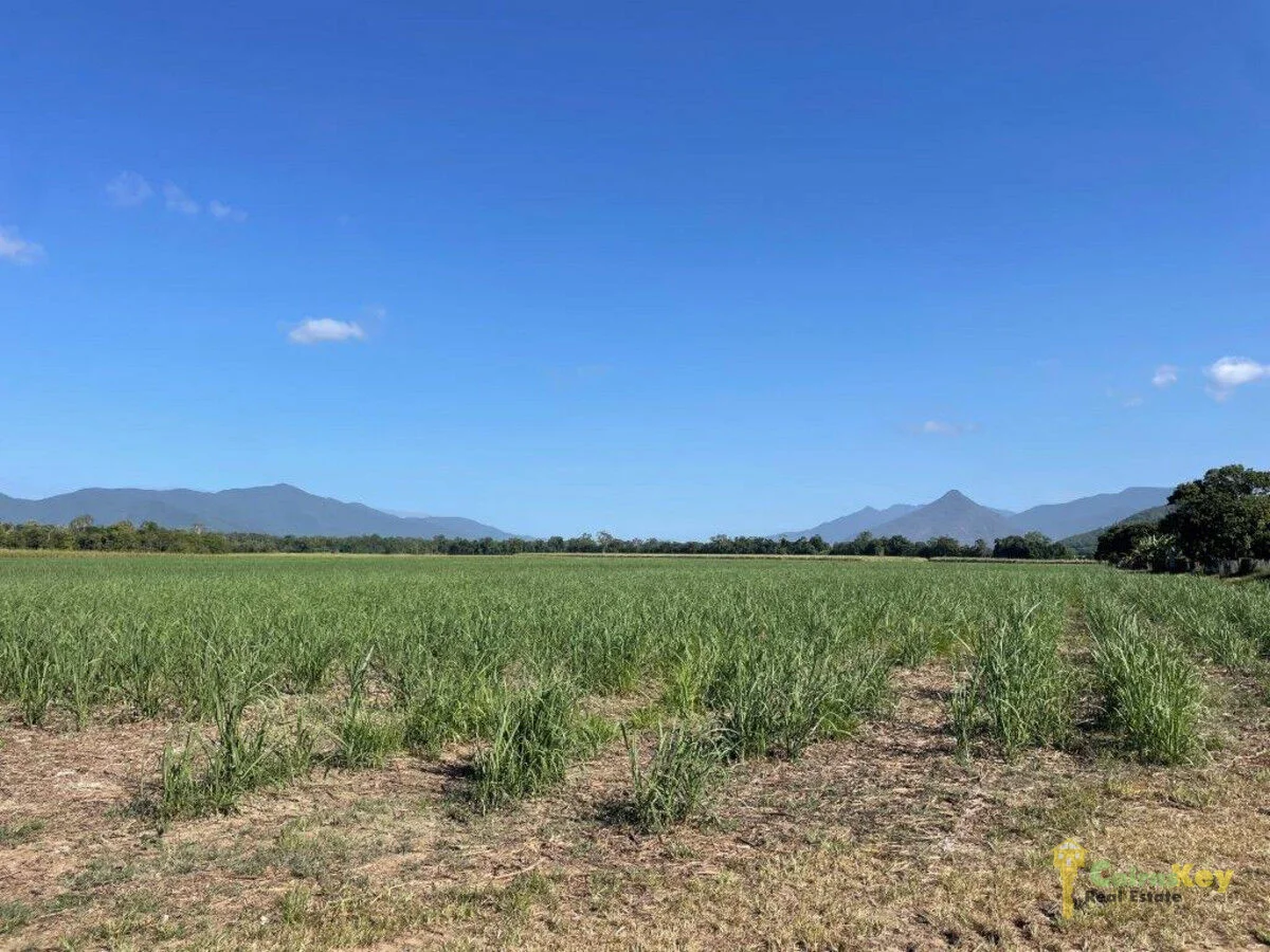 Additional image 7 of 45 Thomson Road, Edmonton QLD 4869