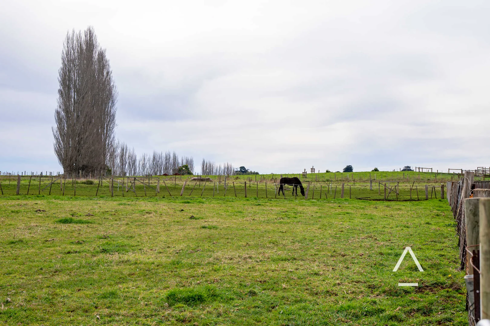 Additional image 6 of 9 Willow Court, Winnaleah TAS 7265