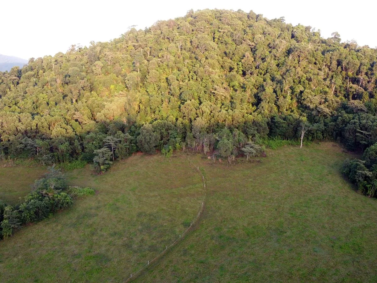 Additional image 10 of 000 Poppi Road, Cowley QLD 4871