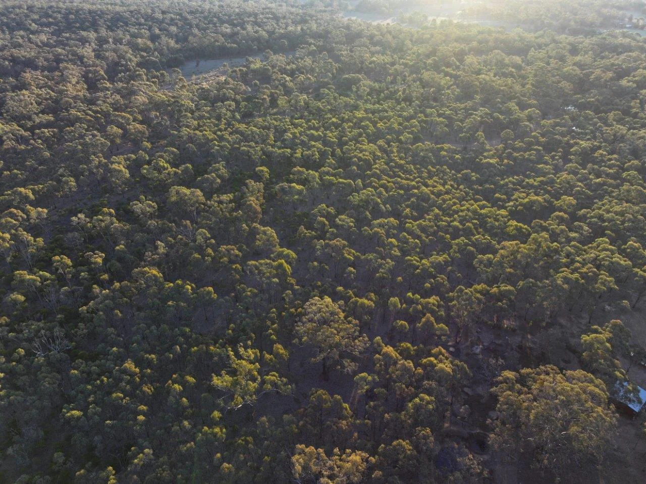 Additional image 2 of 299 Obriens Drive, McIntyre VIC 3472