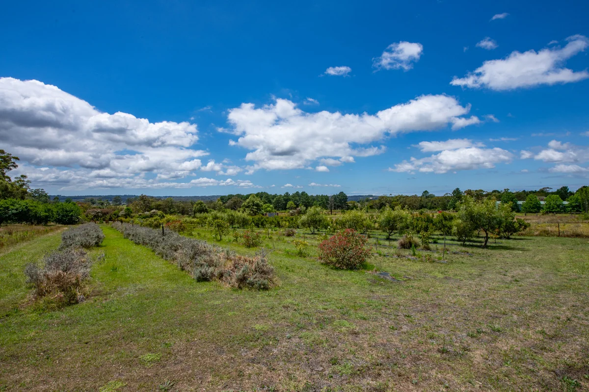 Additional image 31 of 1583 Peats Ridge Road, Peats Ridge NSW 2250