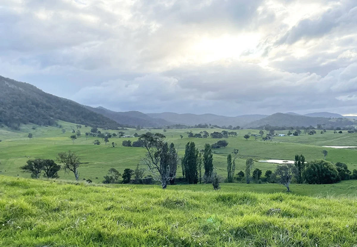 Additional image 13 of 169 Cochranes Road, Wolumla NSW 2550