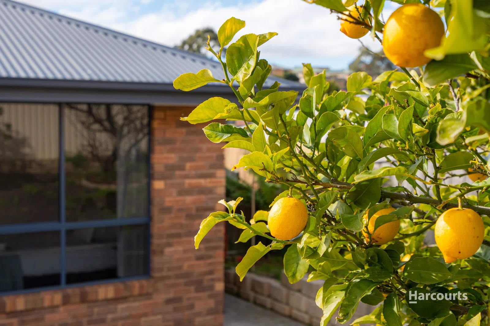 Additional image 27 of 29 Baltonsborough Road, Austins Ferry TAS 7011