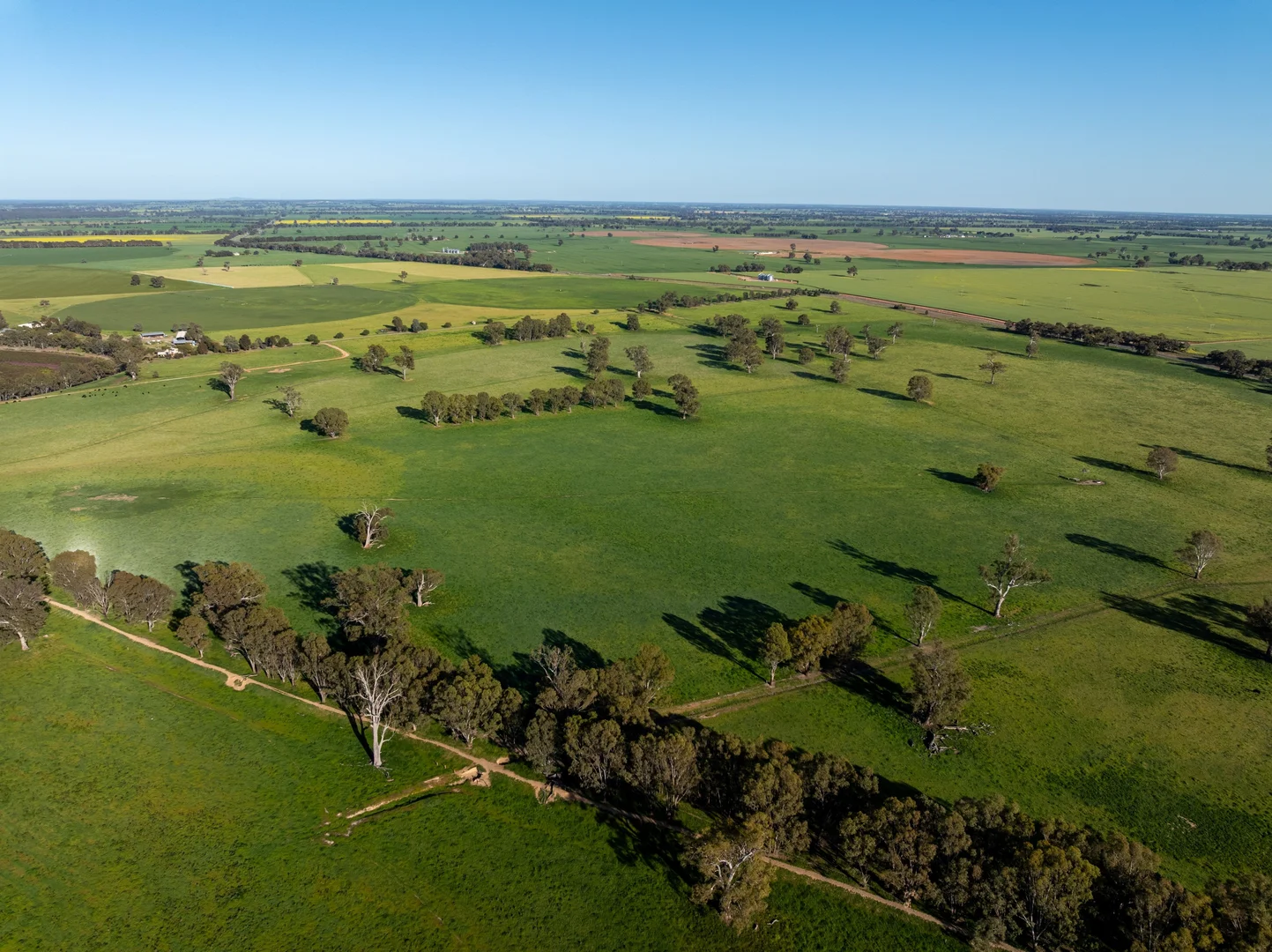 Additional image 29 of 6021 Riverina Highway, Hopefield NSW 2646