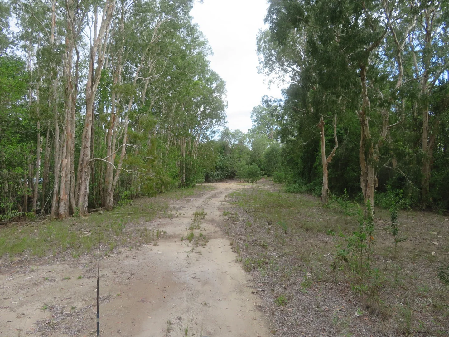 Additional image 23 of 364 Coquette Point Road, Coquette Point QLD 4860