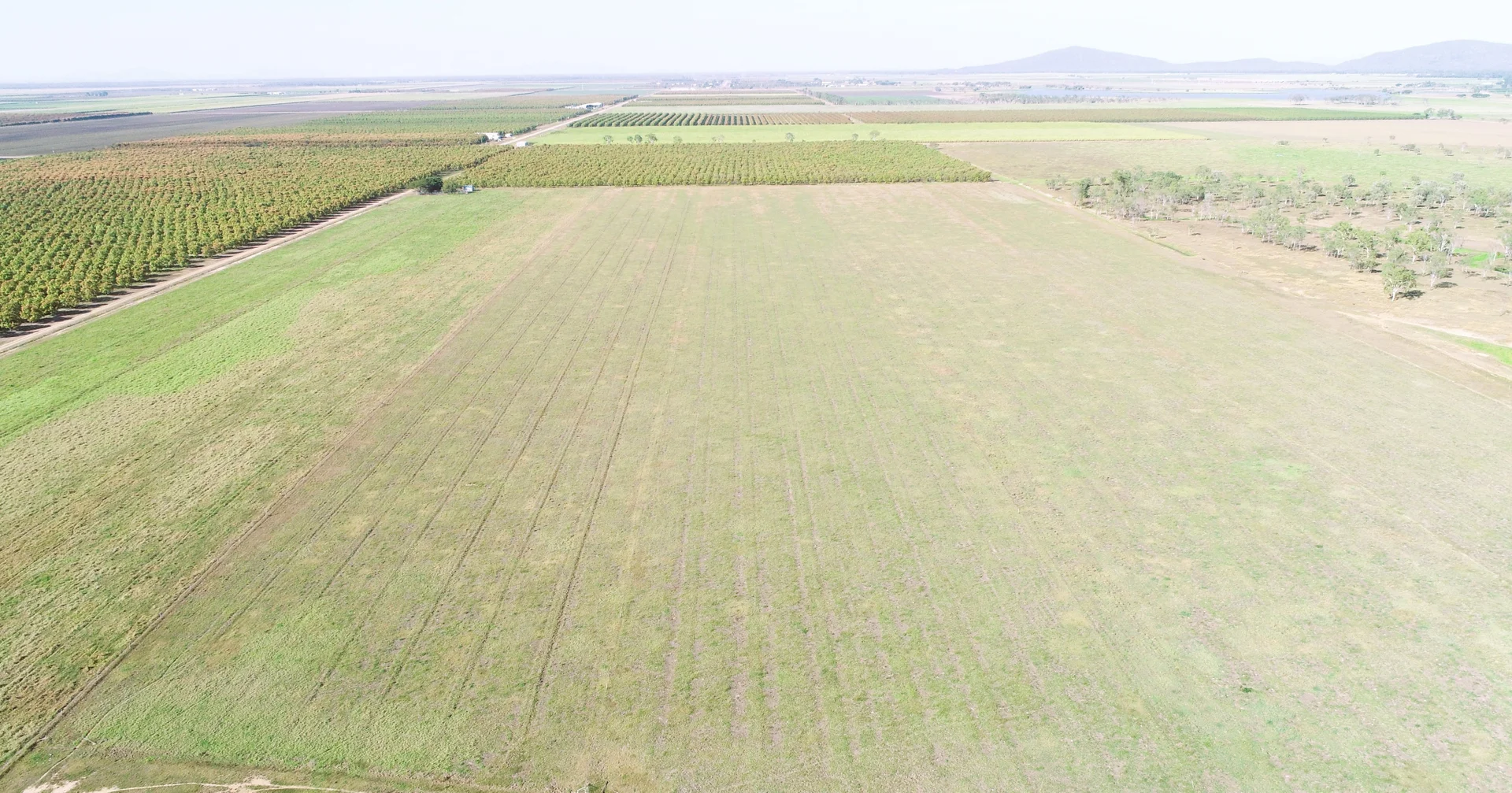 Additional image 9 of 3 Comiskey Road, Horseshoe Lagoon QLD 4809