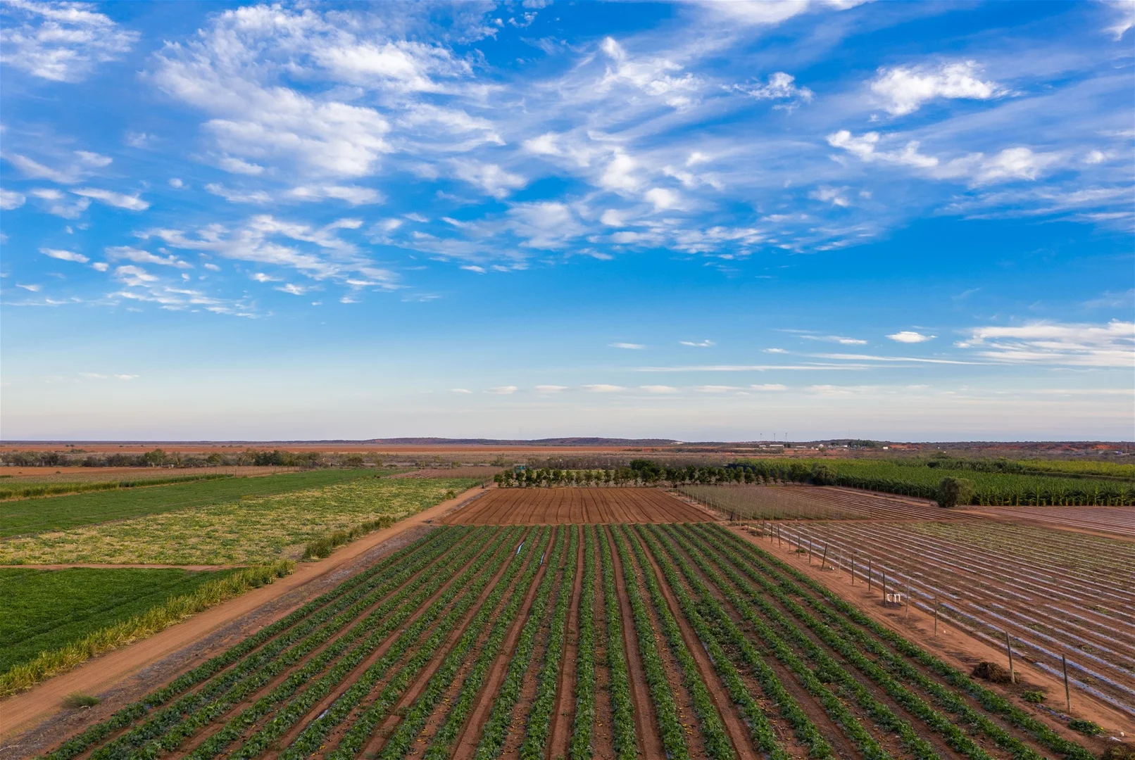 Additional image 20 of 124 South River Road, South Plantations WA 6701