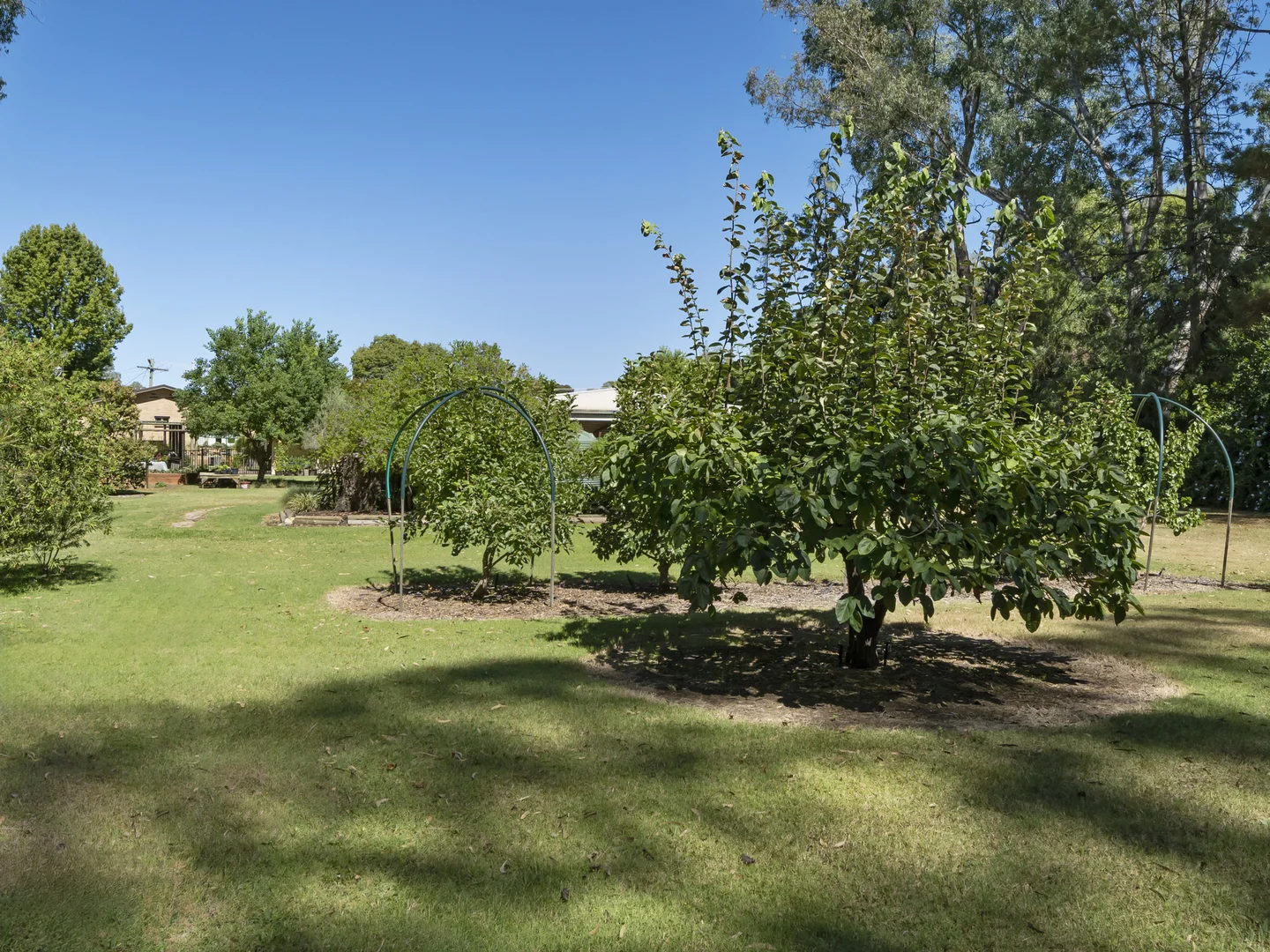 Additional image 22 of 139 Arundel Street, Benalla VIC 3672