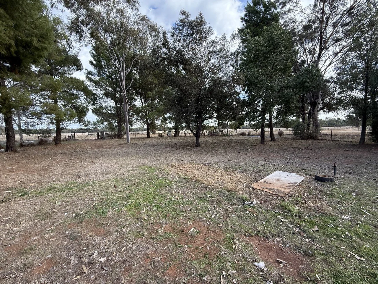 Additional image 14 of 20 Long Street, Trundle NSW 2875