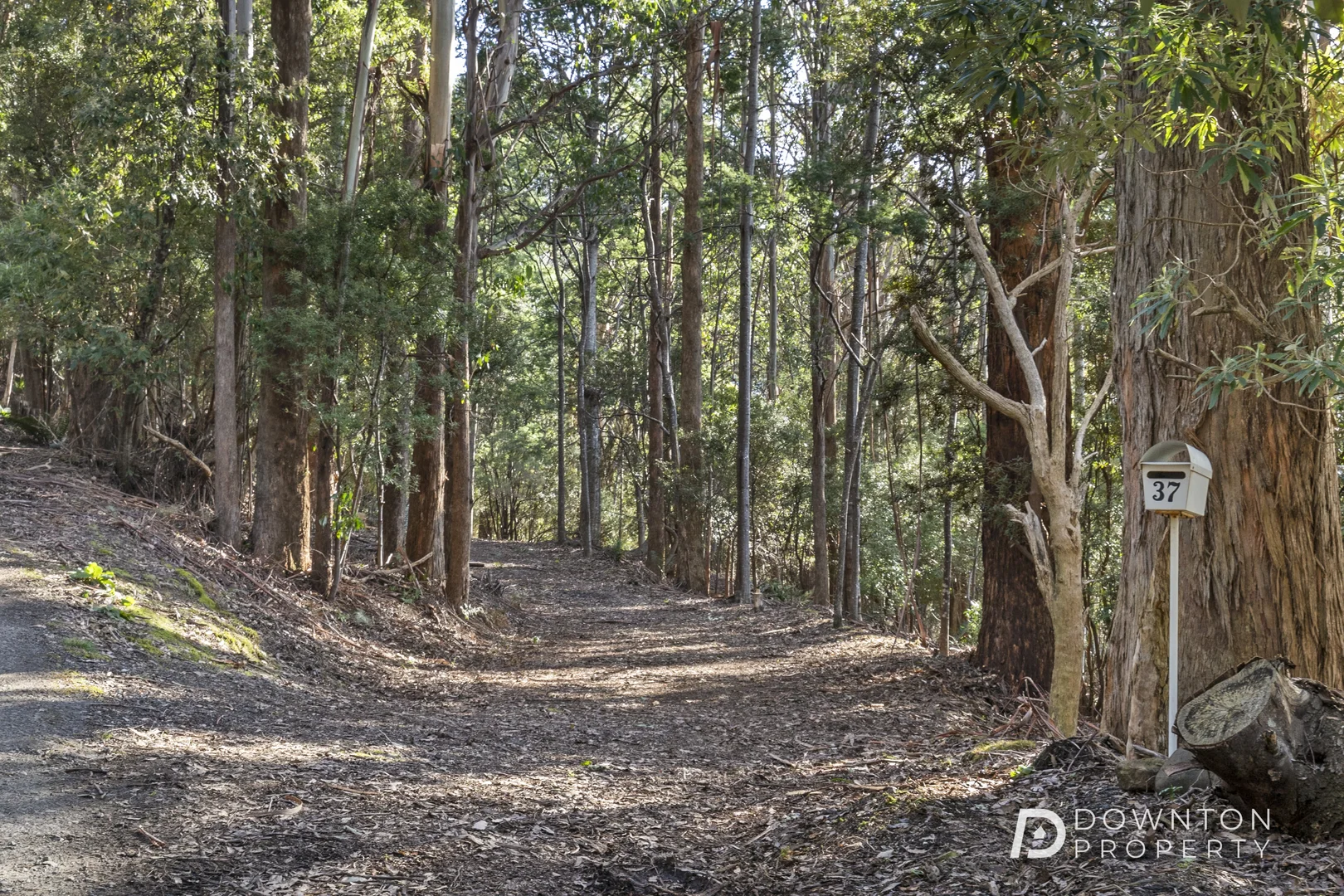 Additional image 4 of 37 Grays Road, Fern Tree TAS 7054