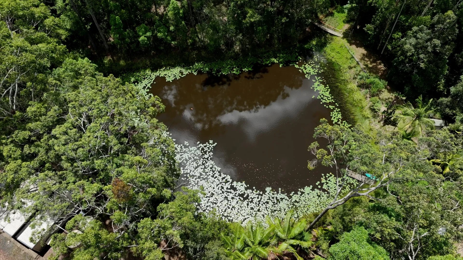 Additional image 35 of 272 Ringtail Creek Road, Ringtail Creek QLD 4565