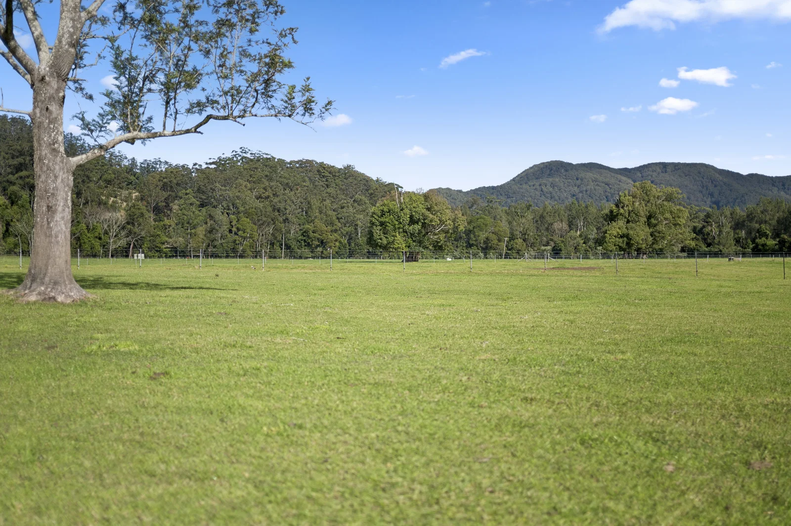 Additional image 34 of 339 Dairyville Road, Upper Orara NSW 2450