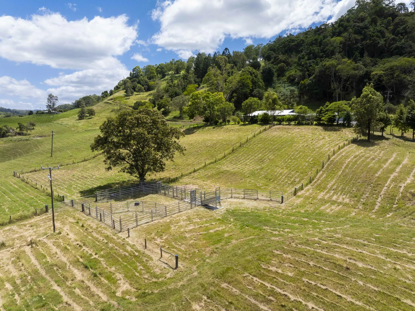 Additional image 22 of 138 Bice Road, Leycester NSW 2480