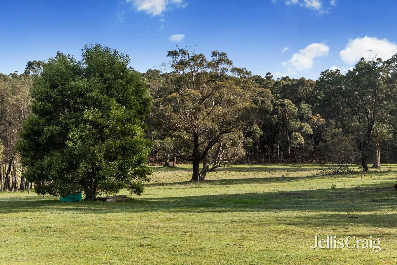 Additional image 11 of 85 Lightwood Drive, Wheatsheaf VIC 3461