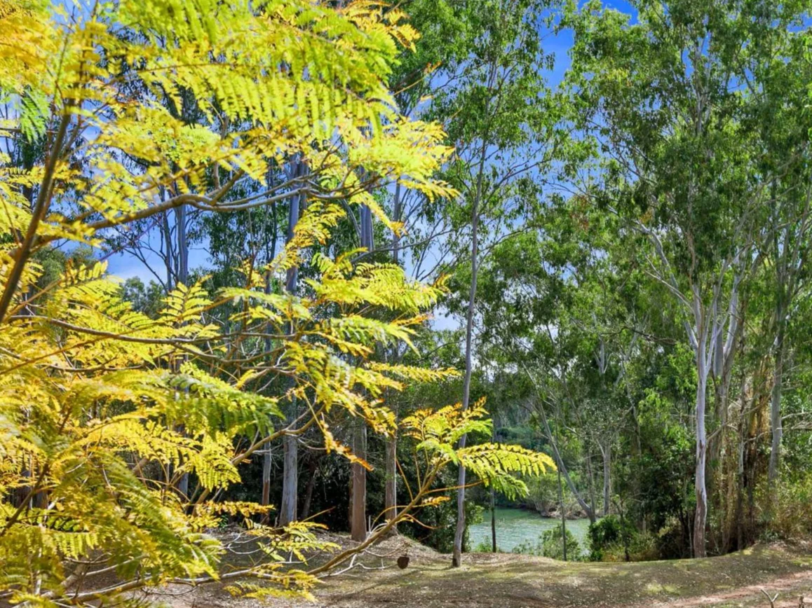 Additional image 5 of 14 Krummel Street, Tiaro QLD 4650