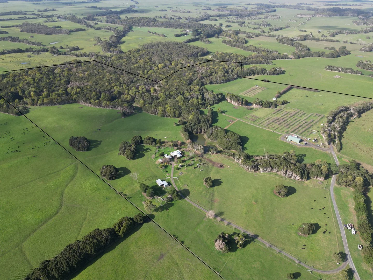 Additional image 4 of 90 Bischoffs Road, Pegarah TAS 7256