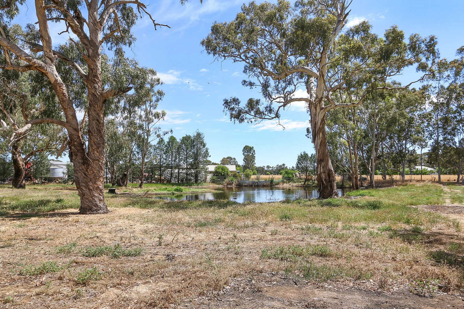 Additional image 31 of 303 Skehans Lane, Corowa NSW 2646