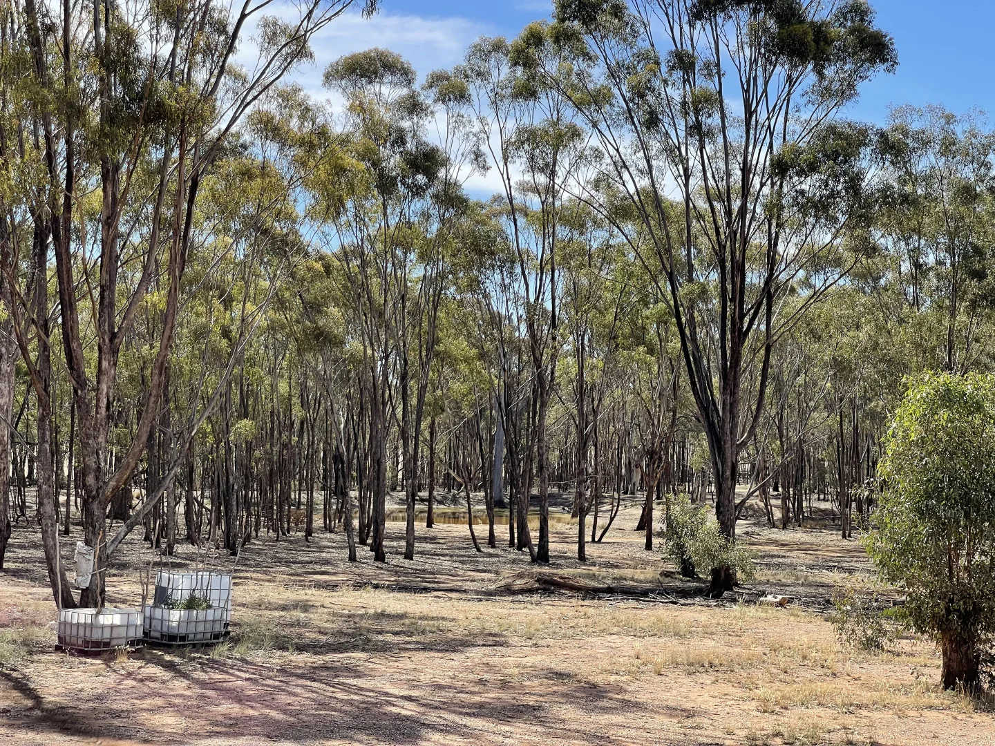 Additional image 29 of Misery Road, Beazleys Bridge VIC 3477