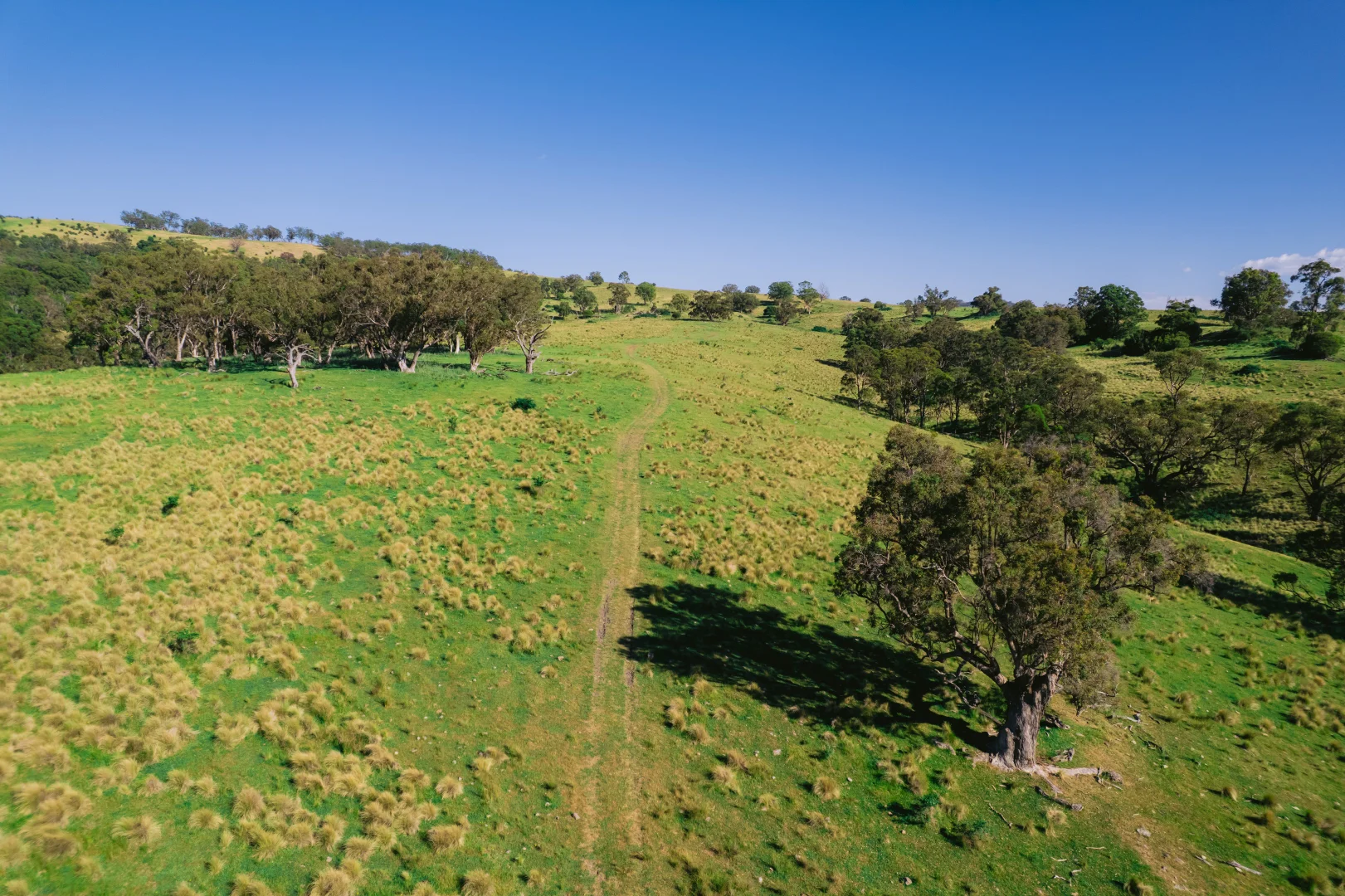 Additional image 14 of 7390 New England Hwy, Willow Tree NSW 2339