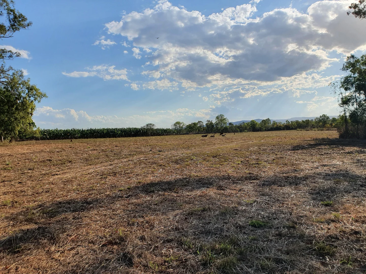 Additional image 18 of 158 Hodzic Rd, Biboohra QLD 4880