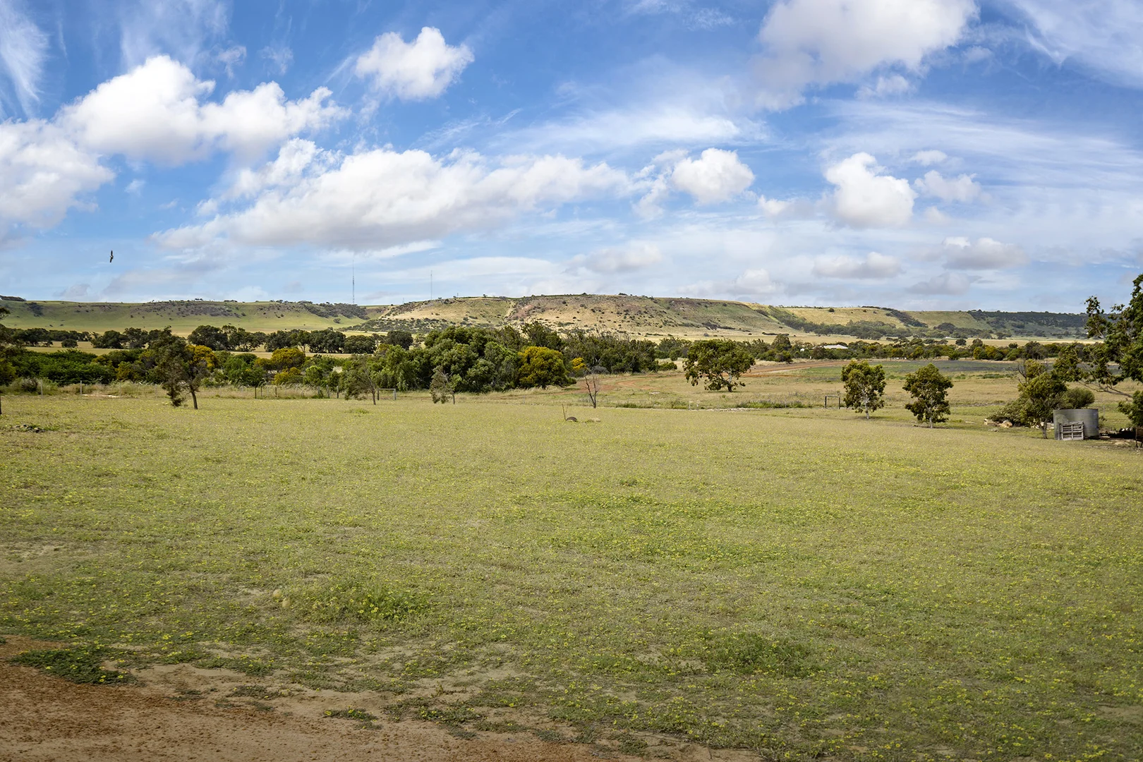 Additional image 31 of 350 David Road, Waggrakine WA 6530