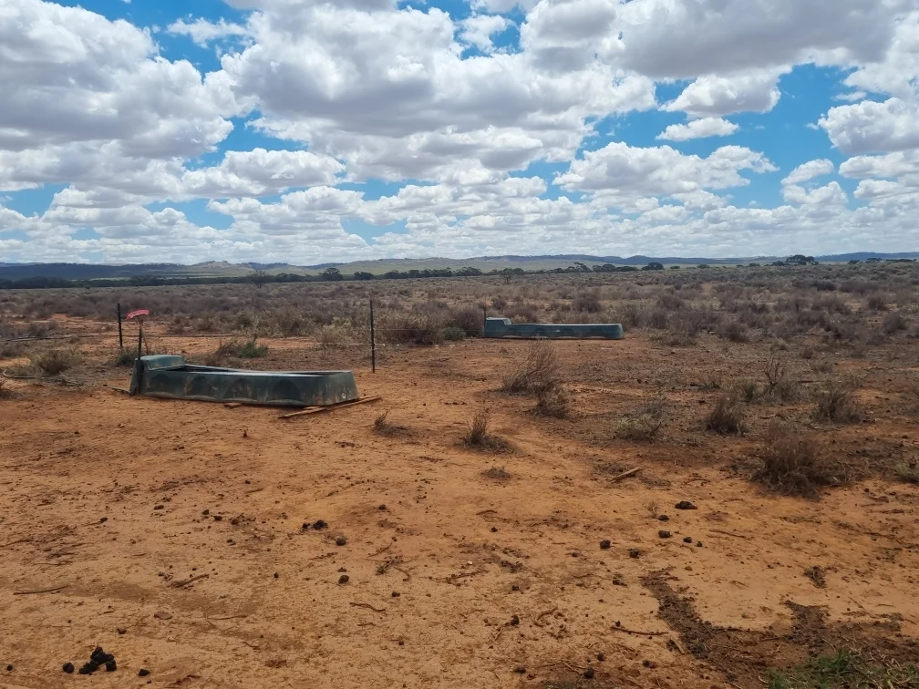 Additional image 7 of 'Markeys' Bri Glen Springs Road, Wonna SA 5419