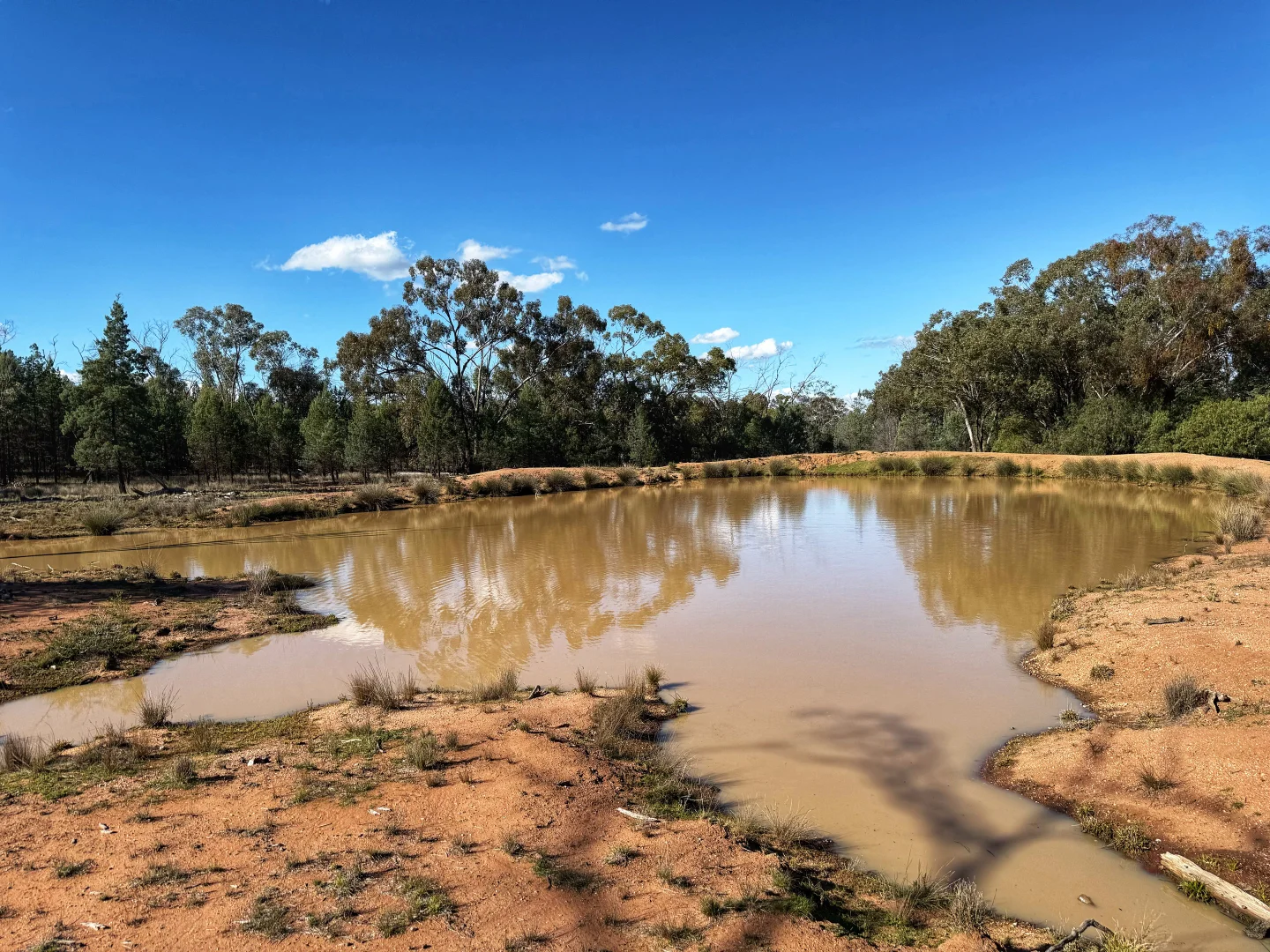 Additional image 5 of 4546 The Bogan Way, Tottenham NSW 2873