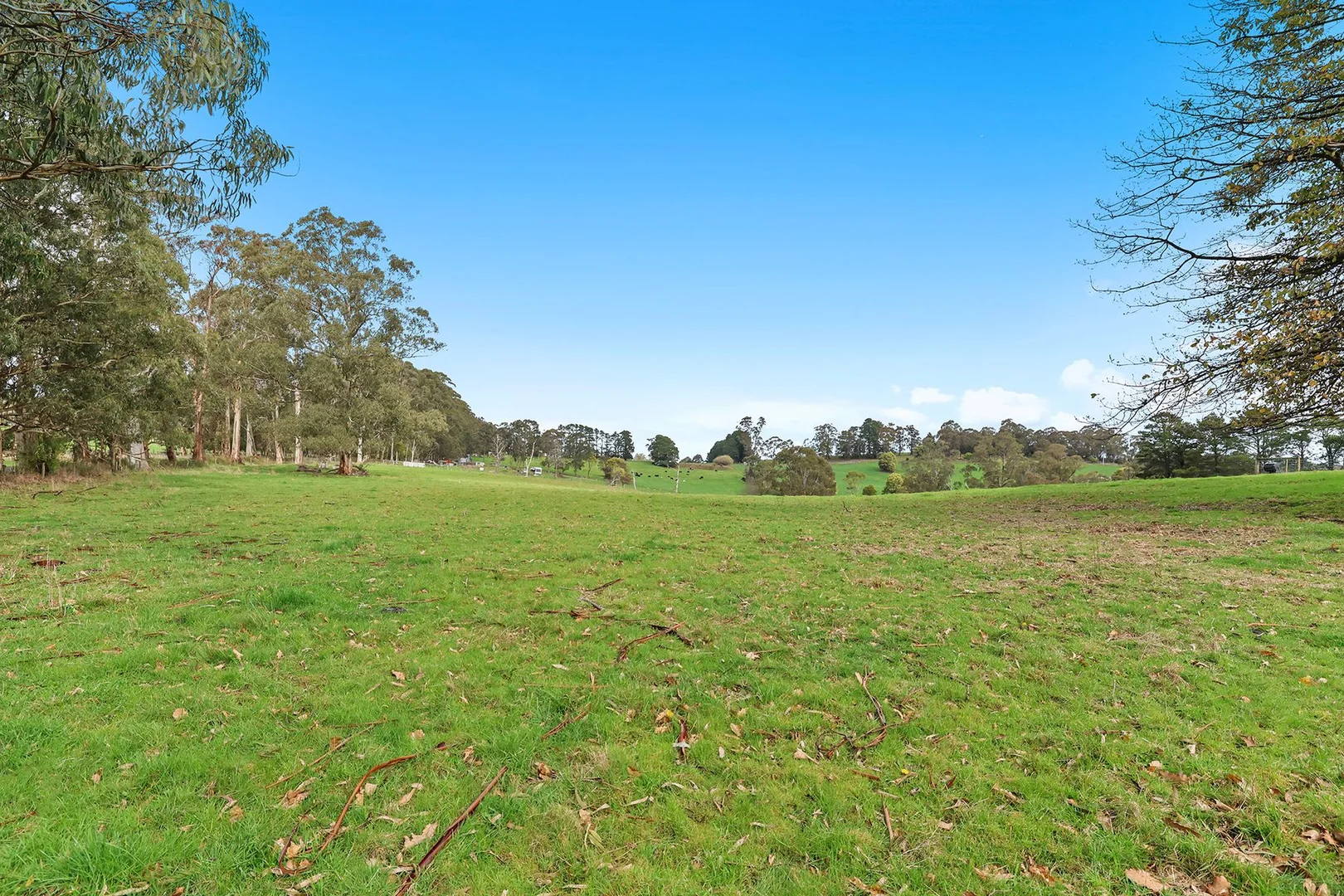 Additional image 15 of 2675 Willow Grove Road, Hill End VIC 3825