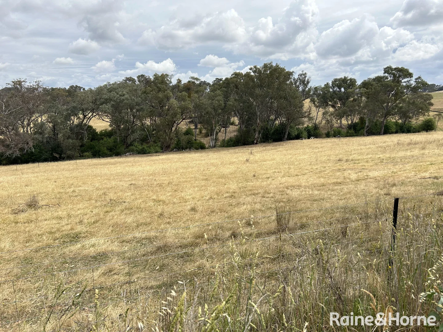 Additional image 6 of Lot 5, 6 & 8/at 59 & 60 Tiedemann Place, Young NSW 2594