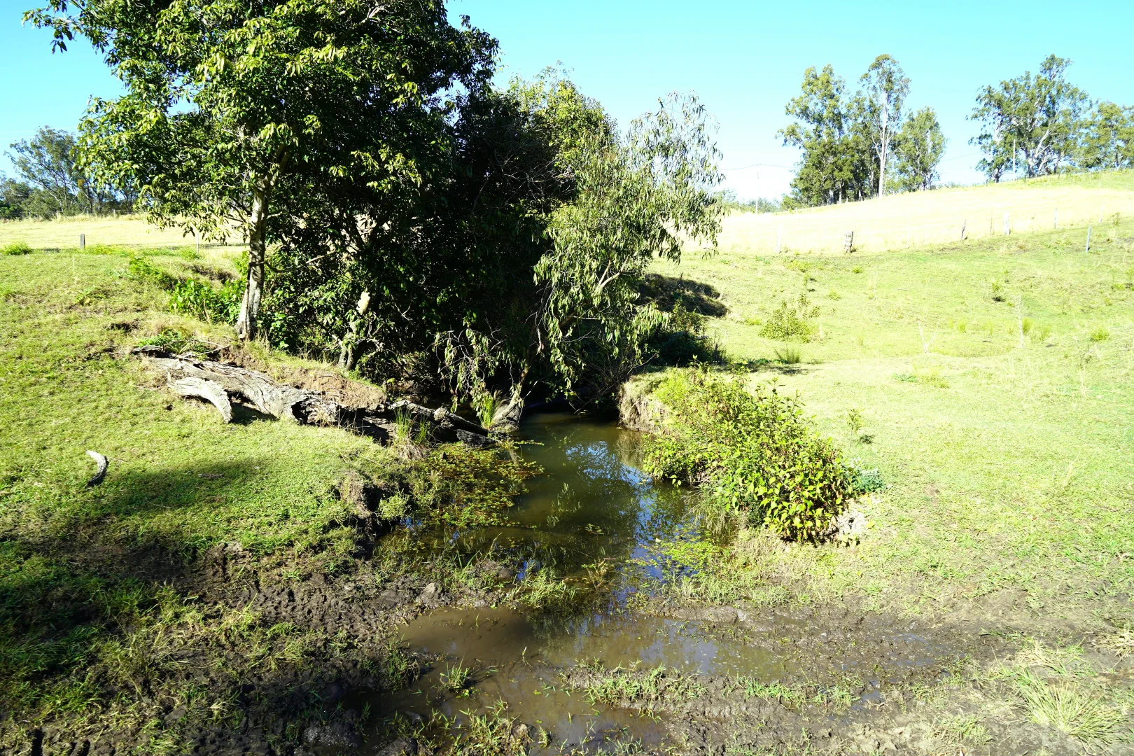 Additional image 24 of 2425 Pine Creek Road, Kyogle NSW 2474