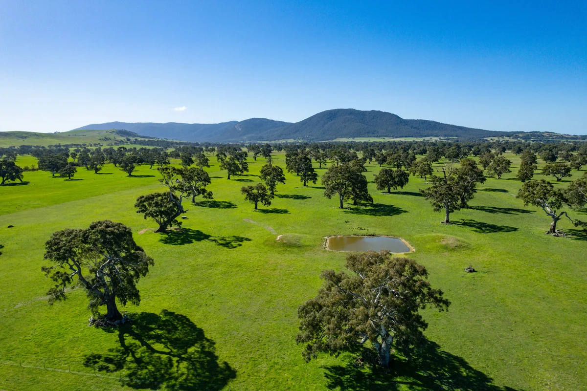 Additional image 3 of 102 Hillman Road, Middle Creek VIC 3375