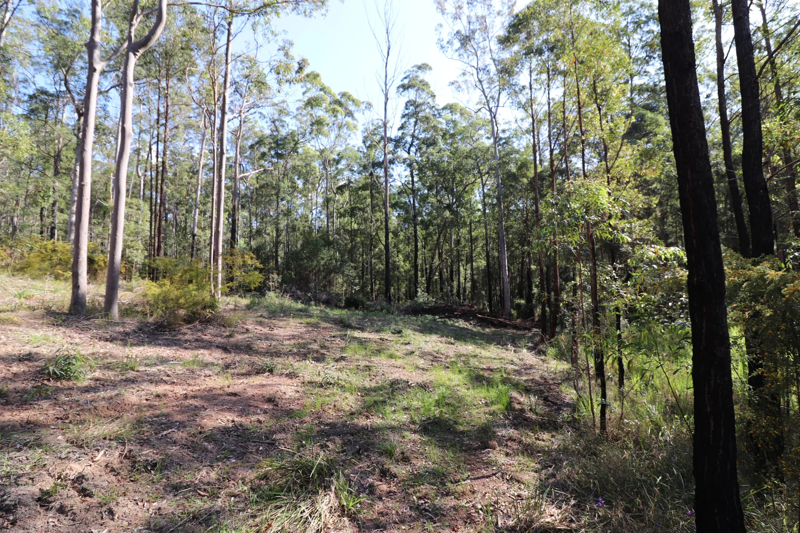 Additional image 10 of Lot 41 Collombatti Road, Collombatti NSW 2440