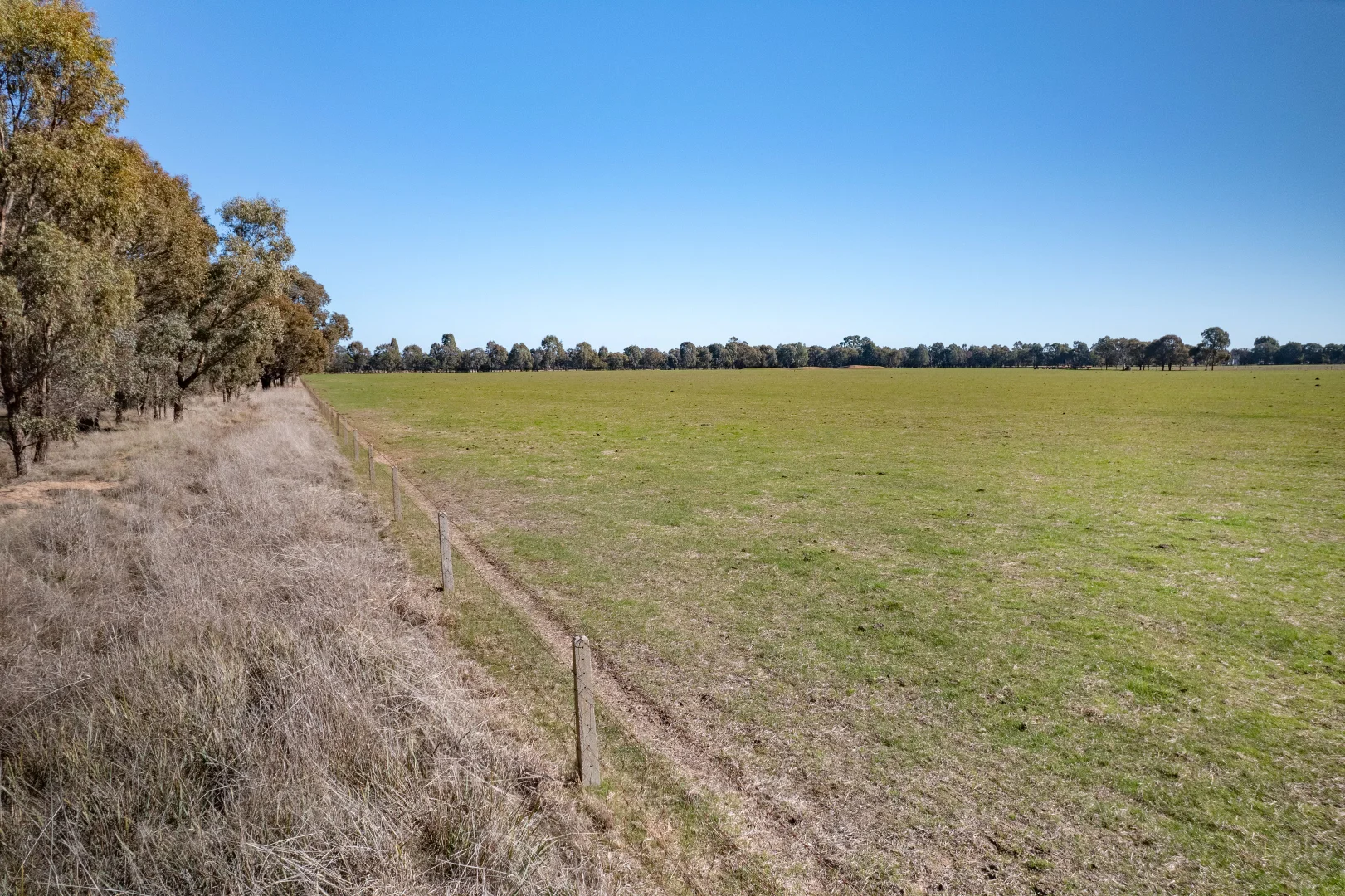 Additional image 13 of 486 Carraragarmungee Estate Road, Byawatha VIC 3678