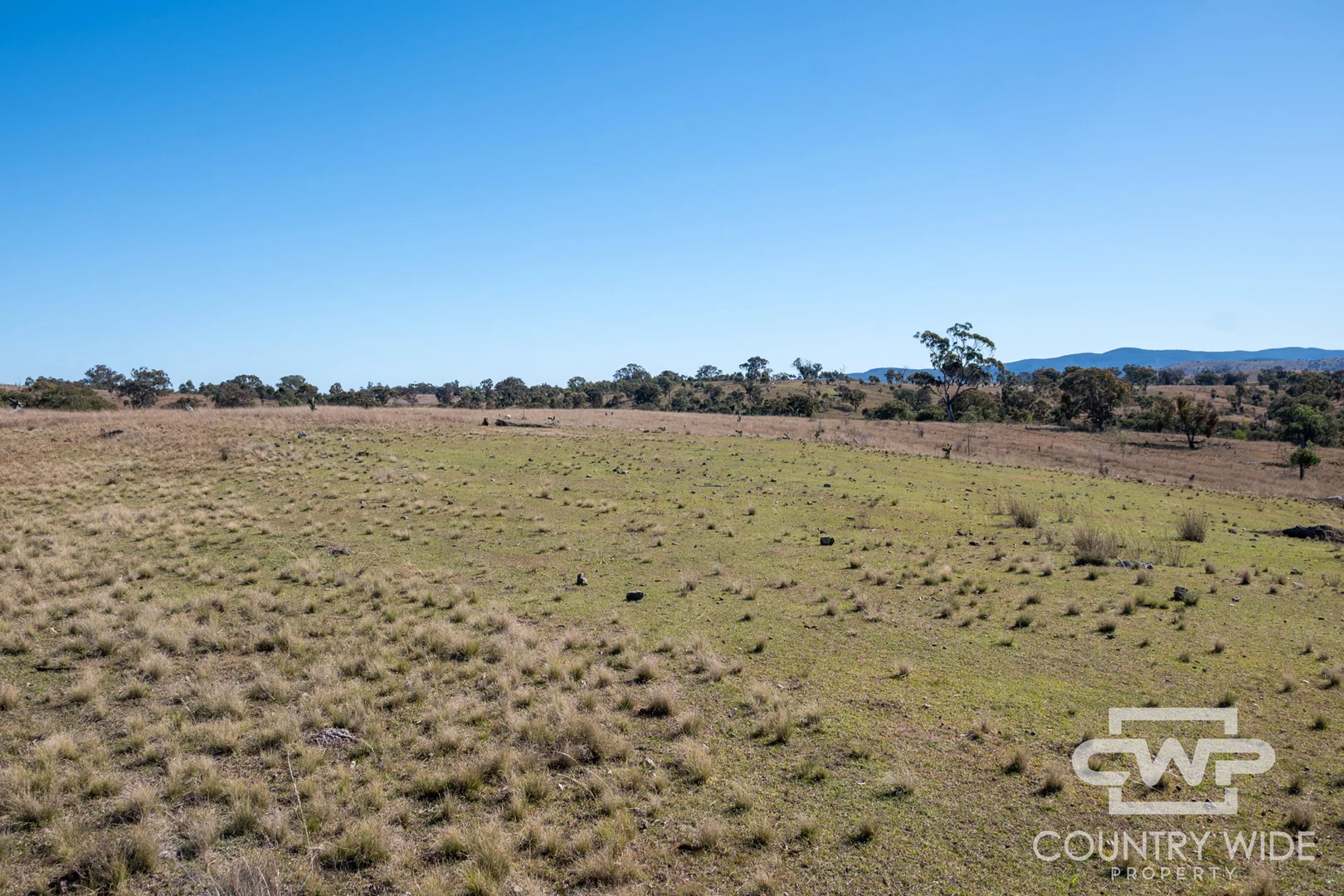 Additional image 10 of 12, 212 Mole Station Road, Tenterfield NSW 2372