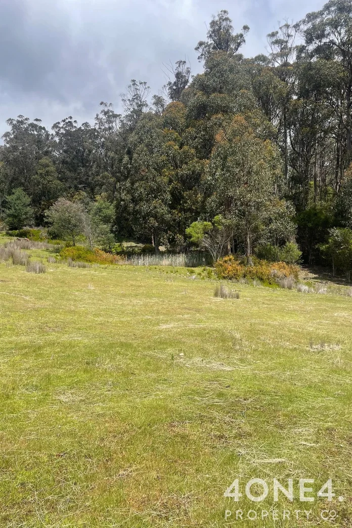 Additional image 33 of 279 Mount Hull Road, Collinsvale TAS 7012