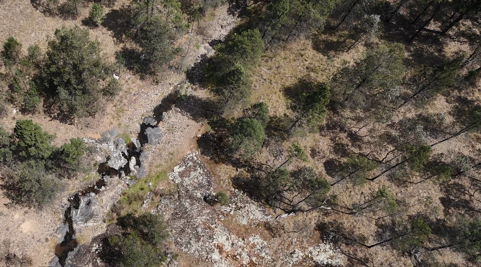 Additional image 9 of 404 Mountain Creek Road, Tenterfield NSW 2372