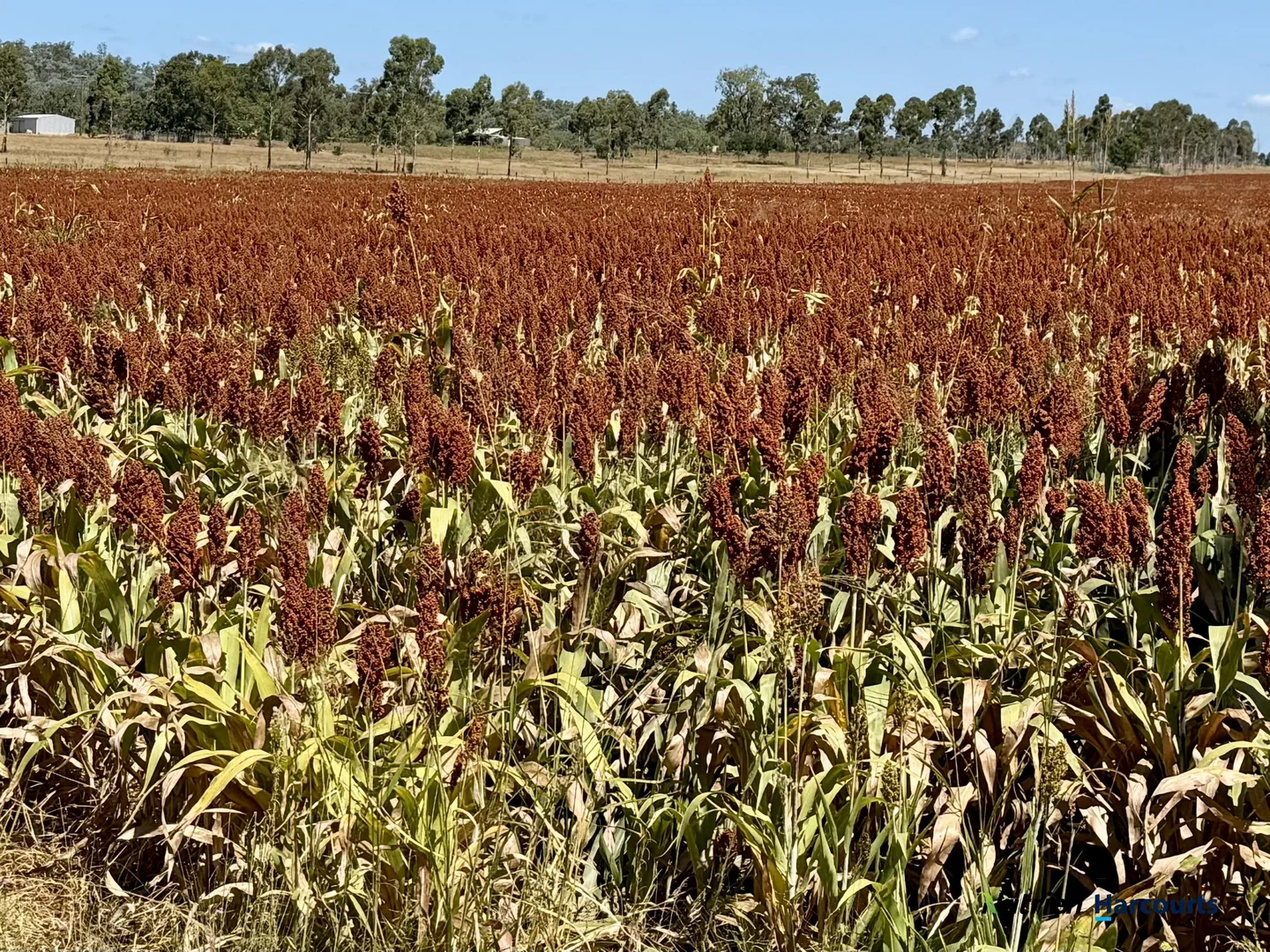 Additional image 30 of Lot 2 Reedy Creek Road, Benair QLD 4610