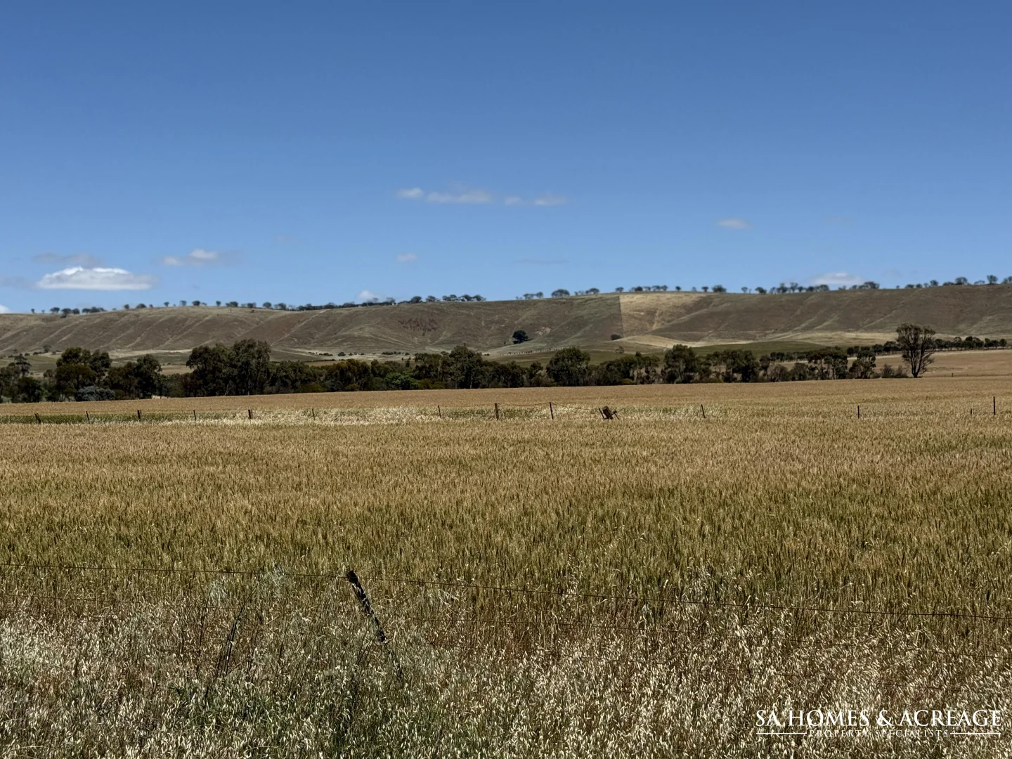Additional image 8 of Section 407 & 408 Hills Road, Robertstown SA 5381
