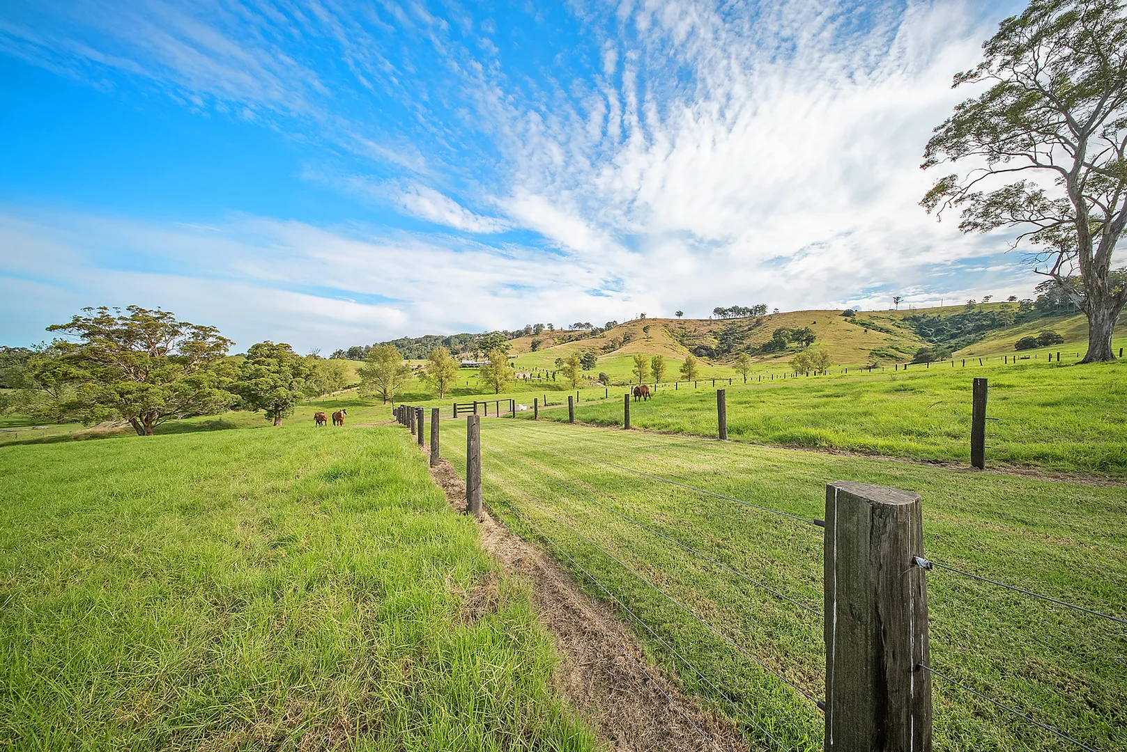 Additional image 17 of 1301 Chichester Dam Road, Bandon Grove, Via, Dungog NSW 2420
