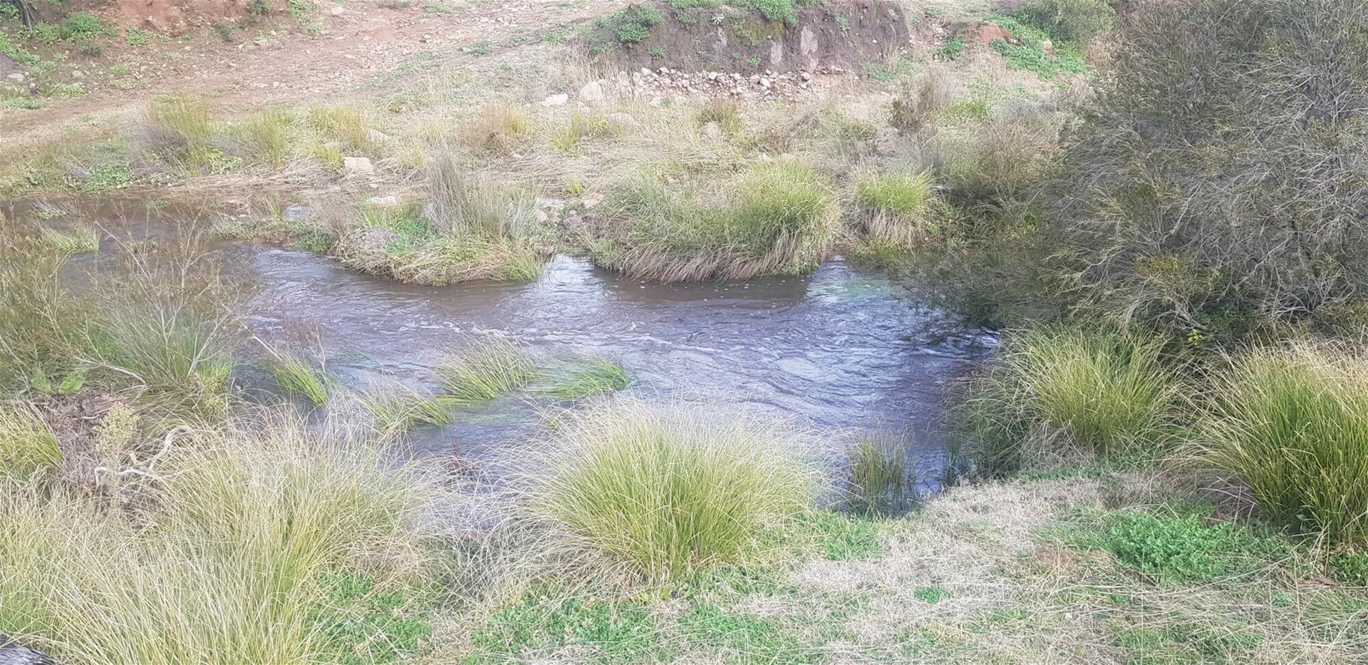 Additional image 5 of 655 Monaghans Rd, Manildra NSW 2865