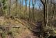 Additional image 11 of Needlewood Grove, Redditch, Worcestershire B48