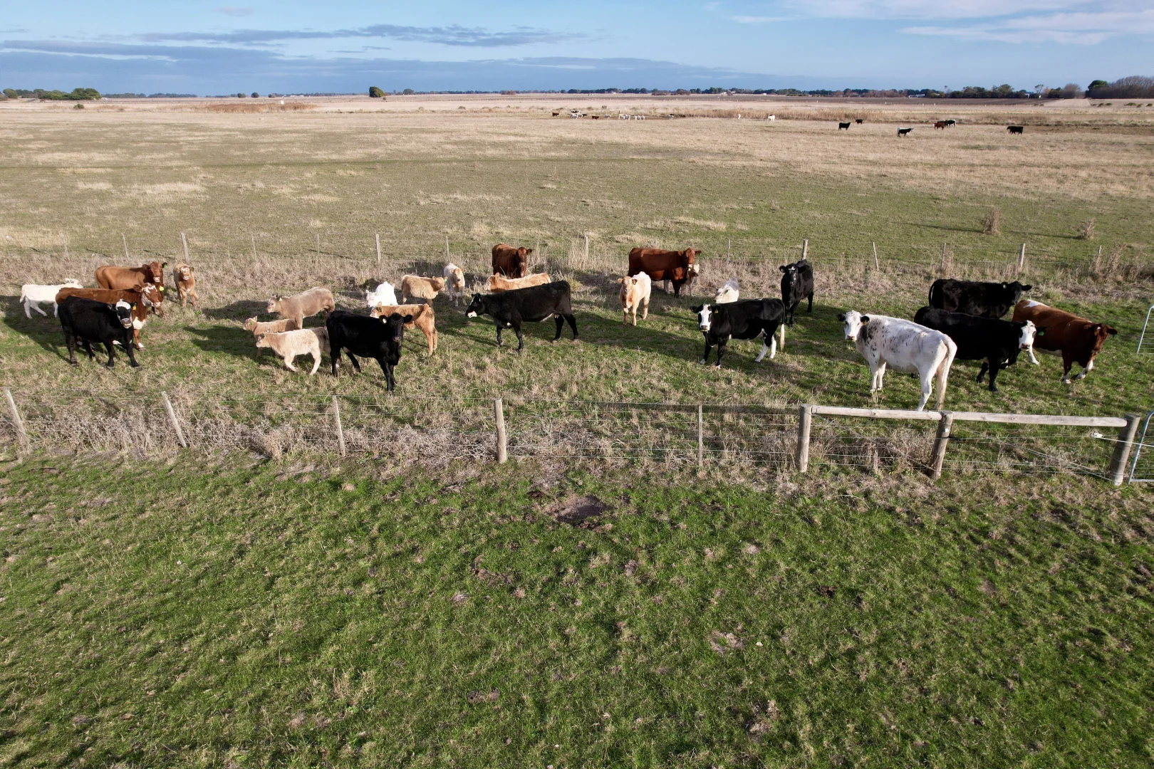 Additional image 9 of 1, Lot 417 & 429 Sebastopol Springs Rd, Sebastopol SA 5280