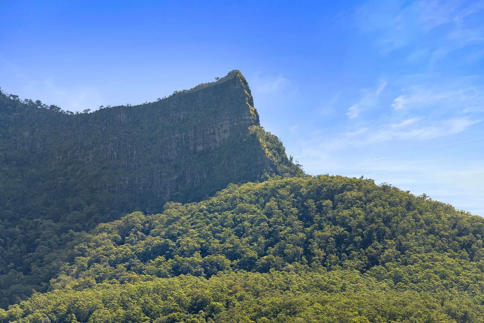 Additional image 10 of Lot 9/427 BACK CREEK ROAD, Back Creek NSW 2484