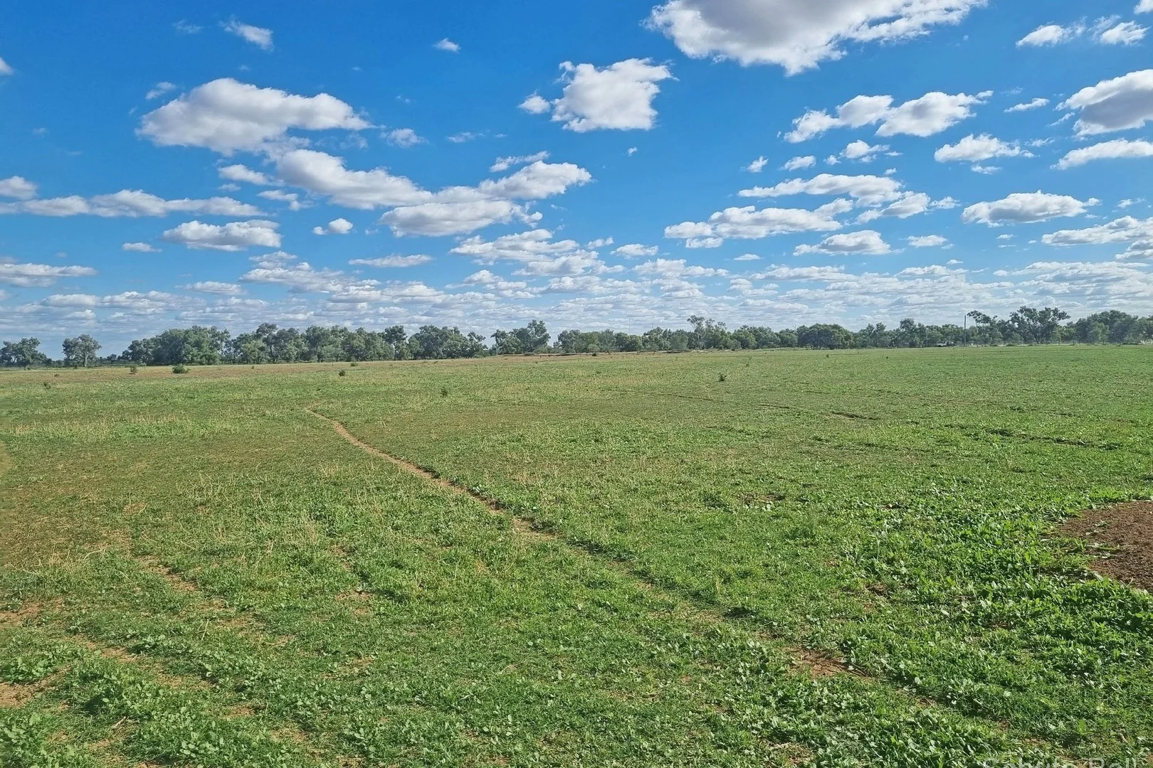 Additional image 4 of 151 Burban Street, Brewarrina NSW 2839
