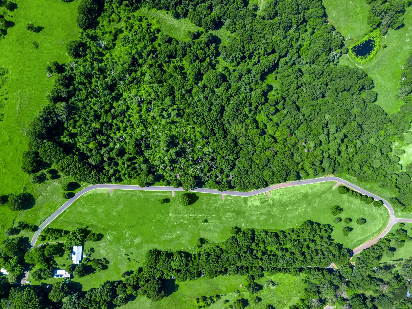 Additional image 24 of 111 Fowlers Lane, Bangalow NSW 2479